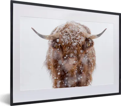Produktbild von MuchoWow® MuchoWow® Gerahmtes Poster Schottisches Hochlandrind - Schnee - Porträt 40x30 cm - Poster mit zchwarzem Bilderrahmen - Bilderrahmen - Poster im Rahmen