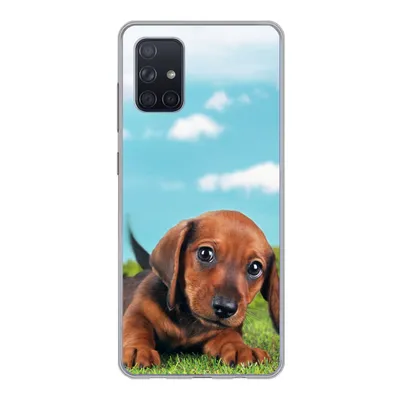 Produktbild von MuchoWow® Handyhülle Schutzhülle Hülle für Samsung Galaxy A51 Schöner Himmel über einem niedlichen Dackelwelpen Silikon Softcase Handy Hülle - Schutzabdeckung