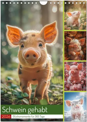 Produktbild von Schwein gehabt (Wandkalender 2026 DIN A4 hoch), CALVENDO Monatskalender