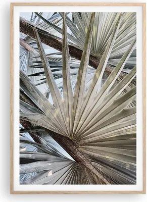 Produktbild von Gerahmtes Poster - Rahmen in heller Eiche - Blatt Palme Natur - 70x100 cm - Wand Bild - Wanddeko - Wandbilder - Kunstposter - Wandposter - Bilderrahmen - Bilder - Kunstdruck - P2NPA70x100-5056