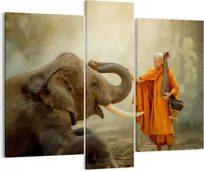Produktbild von Bild auf Leinwand - Leinwandbild - Elefant Mönch Stoßzahn - 95x80cm - Wand Bild - Wanddeko - Leinwanddruck - Bilder - Kunstdruck - Wanddekoration - Leinwand bilder - Wandkunst - CB95x80-3484
