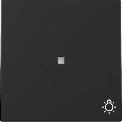 Produktbild von Gira Wippe Kontrollf. + Symb. Licht System 55 Schwarz m 3674005
