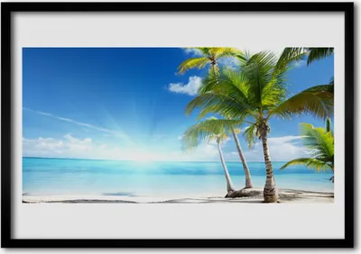 Produktbild von Bild 100x70 MDF-Rahmen Wandkunst Palme, Meer, Landschaft