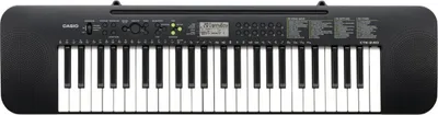 Immagine prodotto di Casio CTK 240