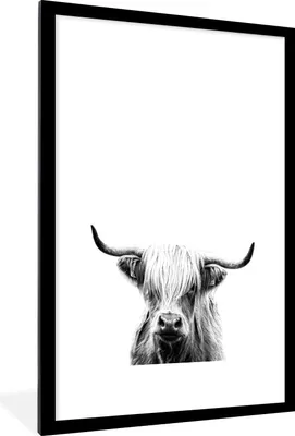 Produktbild von MuchoWow® Gerahmtes Poster Schottischer Highlander auf weißem Hintergrund - schwarz und weiß 60x90 cm - Poster mit Schwarzem Bilderrahmen Wandposter Rahmen Foto Bilder - Dekoration - Wandposter Wohnzimmer - Hochwertig