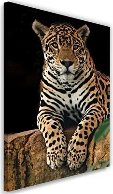 Produktbild von Leinwandbild leopard tiere natur 60x90 cm Feeby braun wandbild bereit zum aufhängen