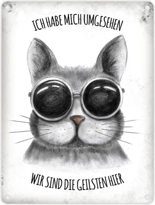Produktbild von Metallschild mit Katze Motiv und Spruch: Wir sind die Geilsten Blechschild