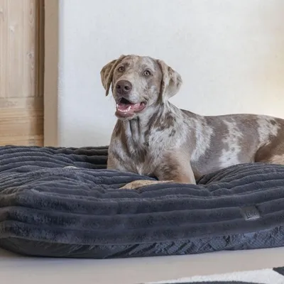 Image de Designed by Lotte coussin pour chien Reza anthracite, dimensions : 120 x 80 x 12 cm