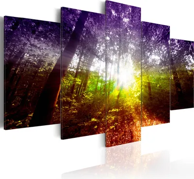 Produktbild von Leinwandbilder 200x100 cm Vlies Leinwandbild 5 tlg Kunstdruck modern Wandbilder XXL Wanddekoration Design Wand Bild - Wald Natur Sonne Sonnenschein c-A-0082-b-n