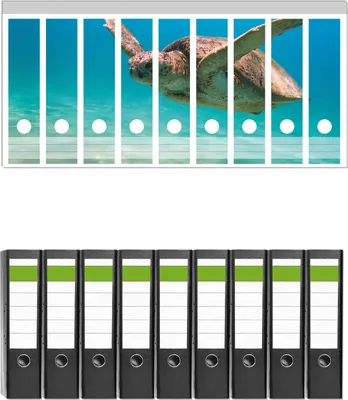 Produktbild von Wallario 9 Stück breite Ordner inkl. Klebeetiketten mit Motive Meeresschildkröte -  Set mit Rückenschildern / Ordnerrücken Stickern