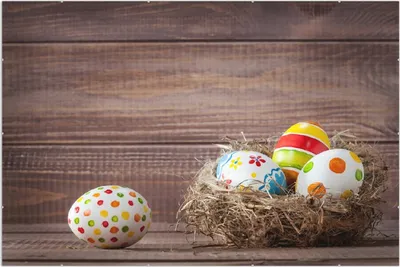 Produktbild von Wallario Wandbild Bunte bemalte Eier an Ostern im Vorgelnest vor hölzerner Wand, Größe: 61 x 91,5 cm, Poster mit rahmenlosen Bildhalter