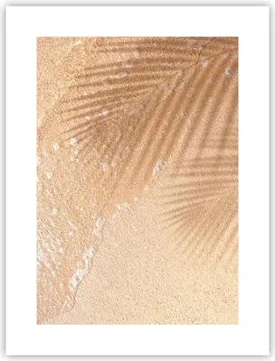 Produktbild von Poster - Poster ohne Rahmen - Sand Schatten Blätter - 30x40 cm - Wand Bild - Wanddeko - Wandbilder - Kunstposter - Wandposter - Bilder - Kunstdruck - Wanddekoration - Wandbild - P2XPA30x40-4580