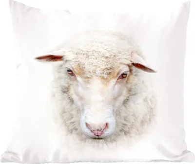 Produktbild von MuchoWow® Zierkissen Sofakissen Wohnzimmer Dekokissen 40x40 cm Schafe - Porträt - Wolle - Foto Kissen - Schlafzimmer Dekoration
