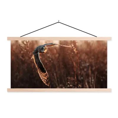 Produktbild von MuchoWow® Textilposter Vogel - Eule - Sonnenuntergang - Natur 60x30 cm mit holzfarbenen Rahmen - Dekoration