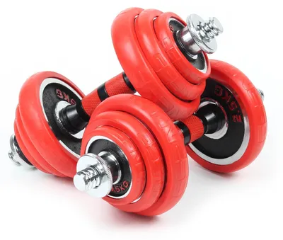 Imagen del producto de Conjunto de pesas de 20 kg, con barra ajustable y 12 discos, ideal para entrenamiento de fuerza
