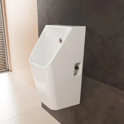 Produktbild von hansgrohe EluPura Original Q Urinal 600/300 mit Zulauf von hinten und Ablauf nach unten/hinten spülrandlos