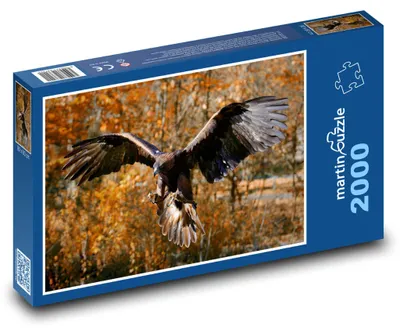 Obrázek produktu pro martinpuzzle - Puzzle 2000 - Orel v letu