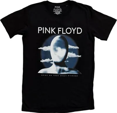 Produktbild von Pink Floyd - T-Shirt für Herren/Damen Uni RO15123 (L) (Schwarz)