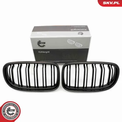 Produktbild von ESEN SKV 66SKV101 Kühlergrill Frontgrill für BMW 3 Coupe (E92) Schwarz-Matt