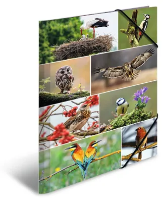 Image de Classeur A3 en carton « Oiseaux indigènes », lot de 3 pièces