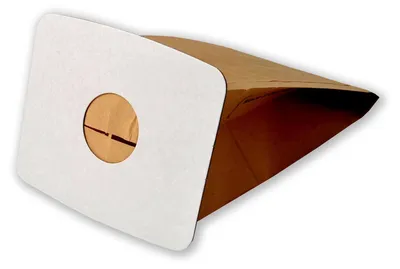 A single vacuum cleaner bag with a white cardboard insert.
