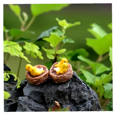 Produktbild von Mini-Nest, Vögel, Feengarten, Miniaturen, Moos, Terrarien, Harz, Bastelfiguren zur Dekoration