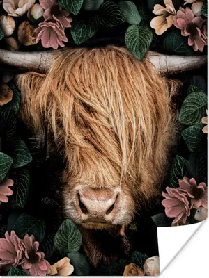 Produktbild von MuchoWow® Poster Schottisches Hochlandrind - Porträt - Kuh - Blumen - Dschungel 120x160 cm - Wandbilder