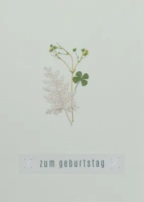 Produktbild von Blumengruß Glückwunschkarte "Zum Geburtstag"