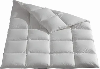 Produktbild von Häussling Königstraum Kassettenbett extra warm Daunen/Federn 155x220 cm