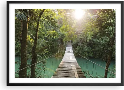 Produktbild von Gerahmtes Poster - Schwarzer Rahmen - Brücke Seil Dschungel - 70x50 cm - Wand Bild - Wanddeko - Wandbilder - Kunstposter - Wandposter - Bilderrahmen - Bilder - Kunstdruck - P2BAA70x50-4397