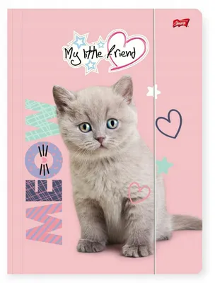 Zdjęcie produktu dla Teczka z gumką A4 Kot Fluffy Kitty Unipap Majewski