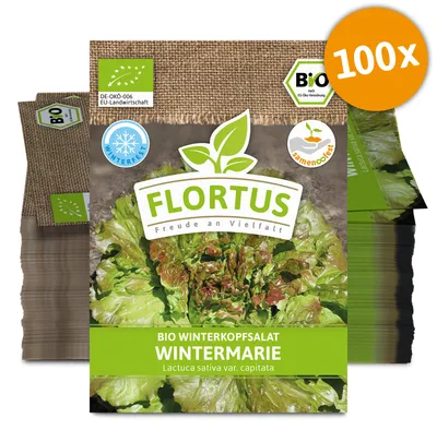 Produktbild von Winterkopfsalat Wintermarie (100 Tütchen) | Kopfsalatsamen von FLORTUS