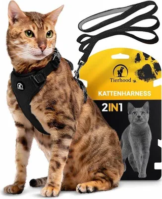 Immagine prodotto di Pettorina per gatti con guinzaglio per gatti piccoli - Pettorina con guinzaglio per gatti - Pettorina per gatti nera - Taglia S (22-27 cm) (31-41 cm)