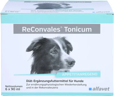 Produktbild von ReConvales Tonicum Hund, 6X90 ml TON