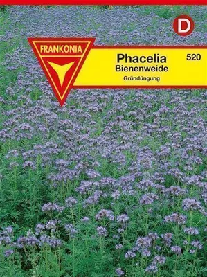 Produktbild von Phacelia Bienenweide