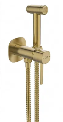 Produktbild von Unterputz-Bidet-Handbrause-Set gebürstetes Gold elegant
