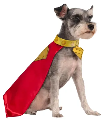 Produktbild von Rubies DC Superman Movie (2025): Krypto Haustierumhang und Halsband für Hunde od