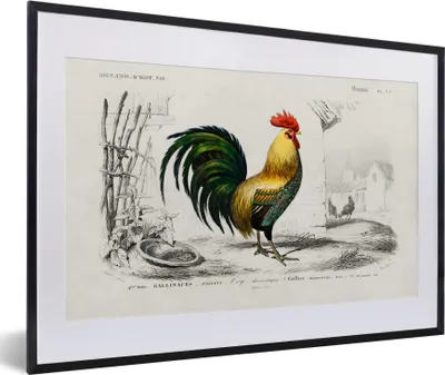 Produktbild von MuchoWow® MuchoWow® Gerahmtes Poster Hahn - Vogel - Jahrgang 60x40 cm - Poster mit zchwarzem Bilderrahmen - Schlafzimmer - Plakat in Rahmen - Drucken