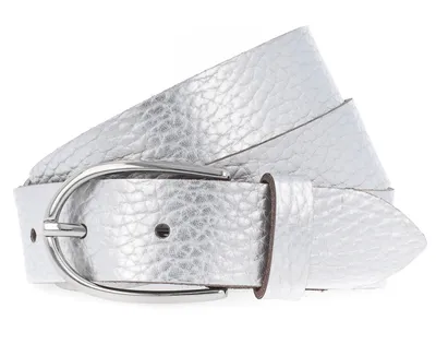 A silver metallic belt with a buckle is shown against a white background.