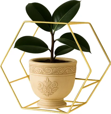 Produktbild von FRAMADO, Pflanzregal Wand, Blumenhalter Metall Hängend 40x20x35cm - Favo Gold
