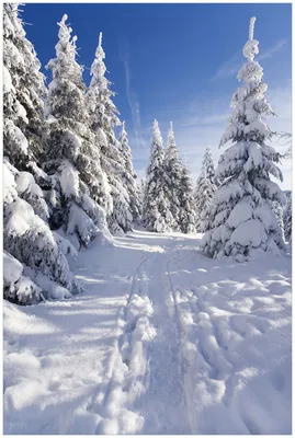 Produktbild von Wallario Premium Glasbild, freischwebende Optik, kräftige Farben, Größe 90 x 60 cm Motiv Wanderweg im Schnee