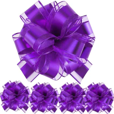 Image de Rubans de décoration, 5 pièces, couleur violet, en polypropylène, longueur 165 cm