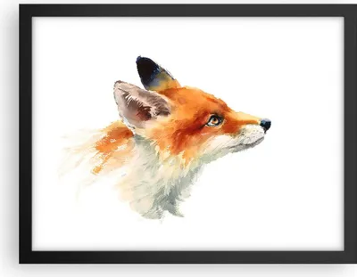 Produktbild von Gerahmtes Poster - Schwarzer Rahmen - Fuchs Tier Natur - 40x30 cm - Wand Bild - Wanddeko - Wandbilder - Kunstposter - Wandposter - Bilderrahmen - Bilder - Kunstdruck - Wandbild - P2BAA40x30-3904