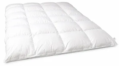 Produktbild von Hofmann Franken 8cm Hochsteg Winterbett Daunenbett Daunendecke 4x6 155x200 1200g