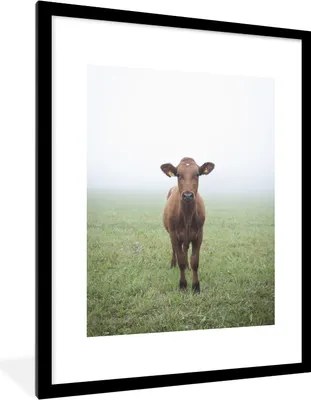 Produktbild von MuchoWow® MuchoWow® Gerahmtes Poster Kuh - Nebel - Gras 60x80 cm - Poster mit zchwarzem Bilderrahmen - Wohnzimmer - Dekorationen - Prämie