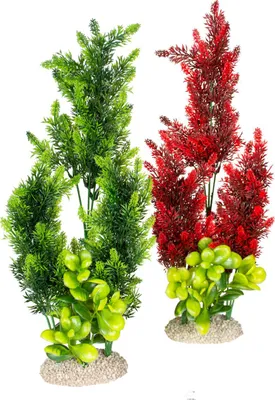 Immagine prodotto di Aqua Della - Pianta da acquario (Lysimachia), dimensioni: 46 cm