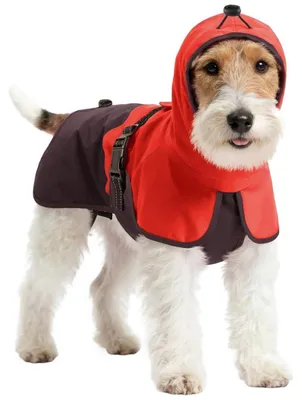 Immagine prodotto di Impermeabile per cani, rosso, con cappuccio, poncho traspirante