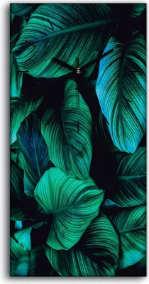 Produktbild von Leinwand Uhr Küche Wohnzimmer Bild 30x60 Gemälde Blumen Blätter Pflanzen Kunst - schwarze Hände