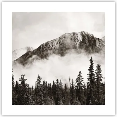 Produktbild von Poster - Poster ohne Rahmen - Nebel Berg Wald - 40x40 cm - Wand Bild - Wanddeko - Wandbilder - Kunstposter - Wandposter - Bilder - Kunstdruck - Wanddekoration - Wandbild - P2XAC40x40-4936