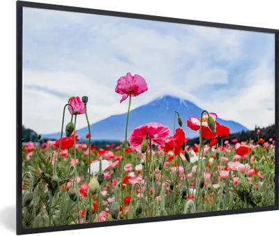 Produktbild von MuchoWow® Gerahmtes Poster Rosa Mohnblumen für einen Berg 90x60 cm - Poster mit Schwarzem Bilderrahmen Wandposter Rahmen Foto Bilder - Fotorahmen - Foto-Plakat